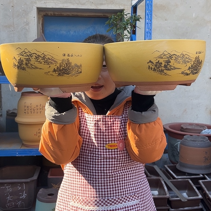 黄色江山如画中一对花盆花盆花盆