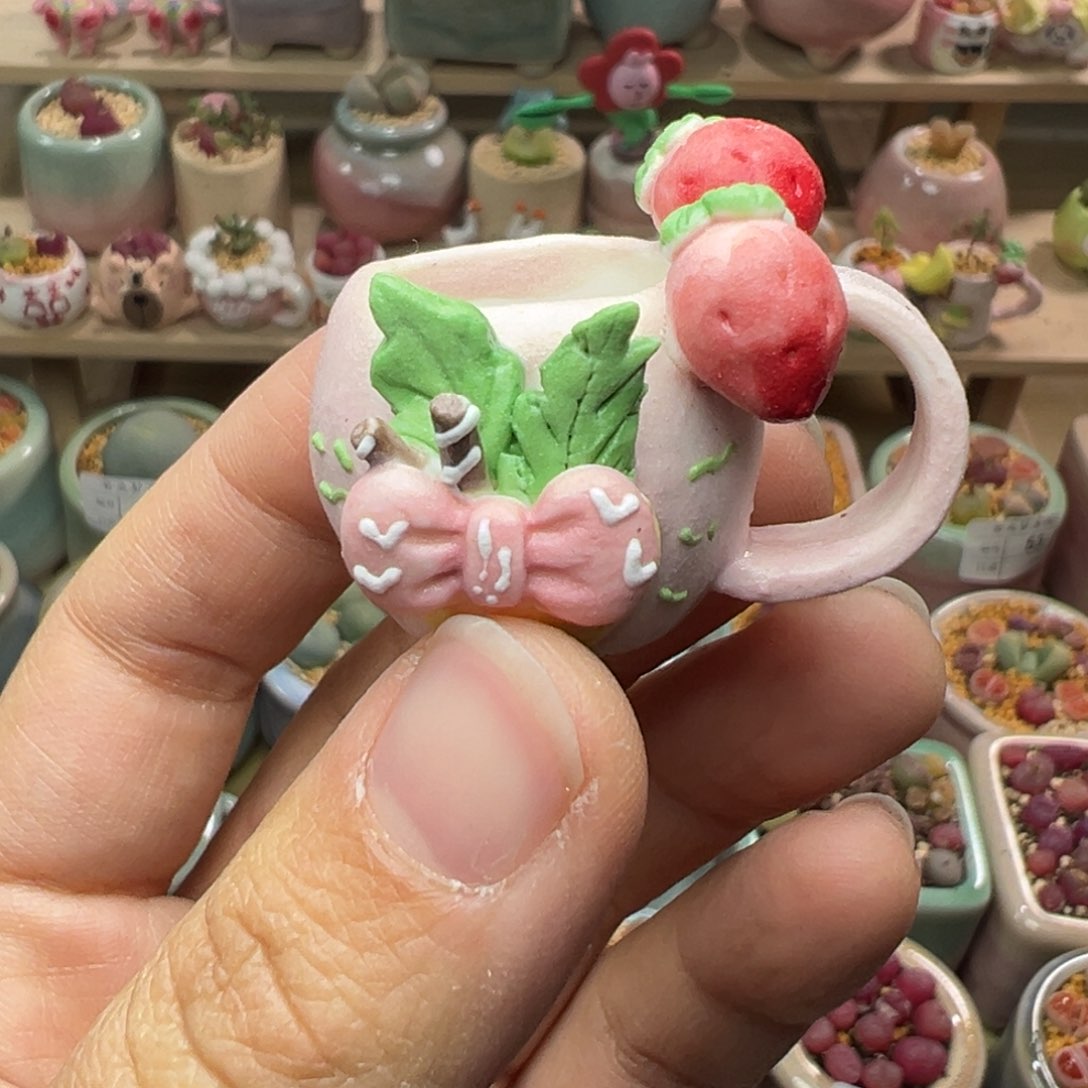 骑****街多肉植物55号种蝴蝶