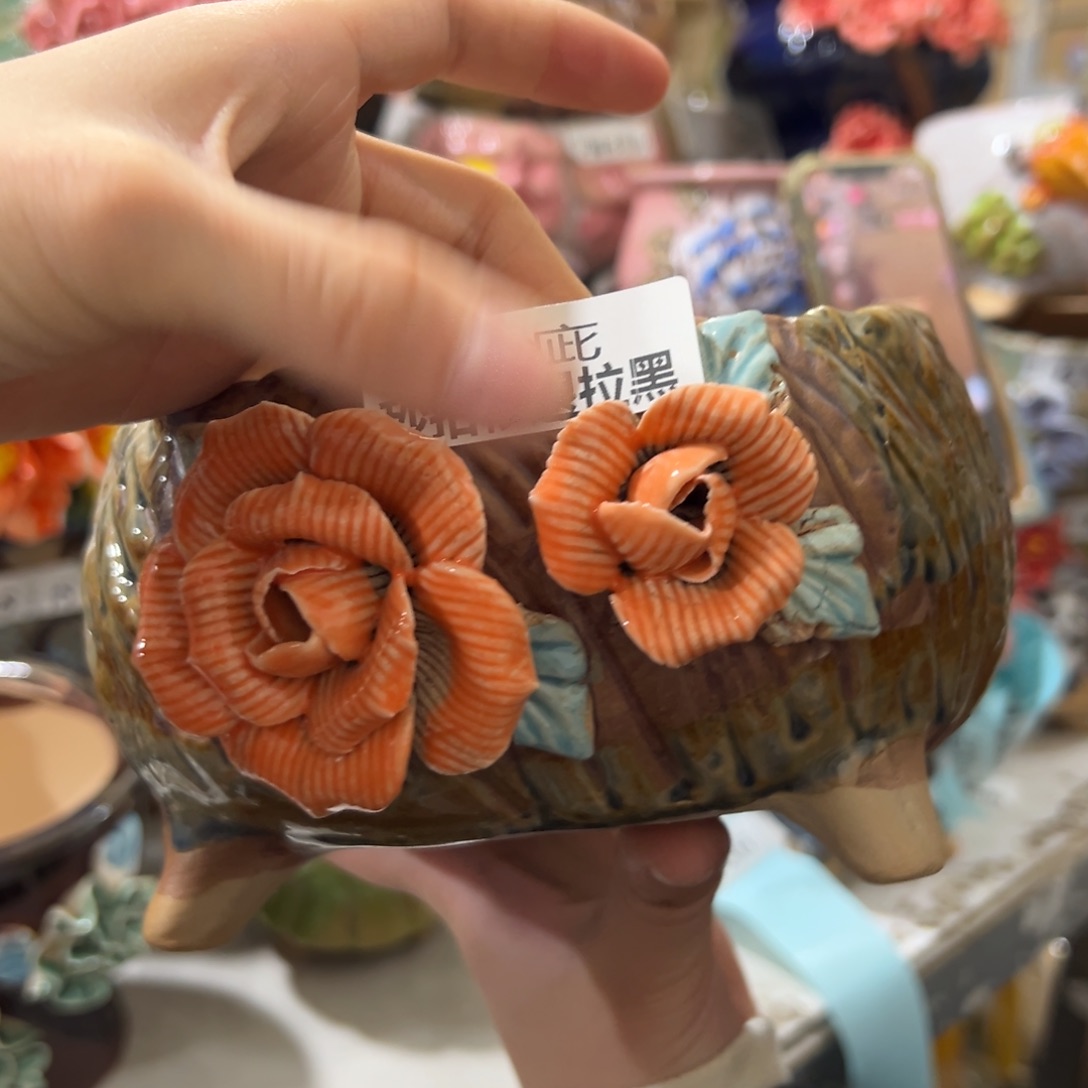 瑕疵736 多肉花盆满18.8发秒拍秒退拉黑