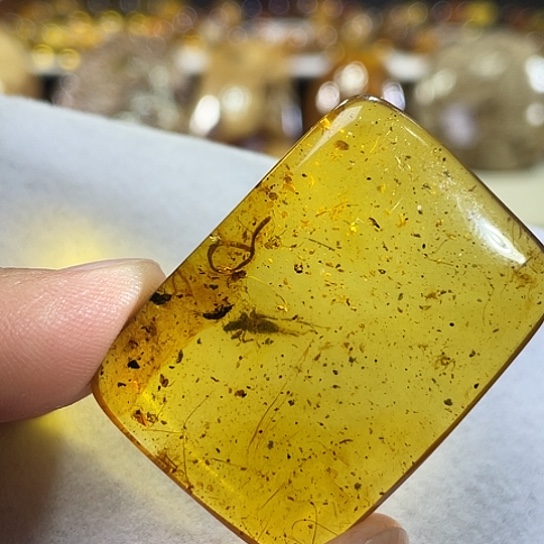 未镶嵌琥珀裸石蚯蚓