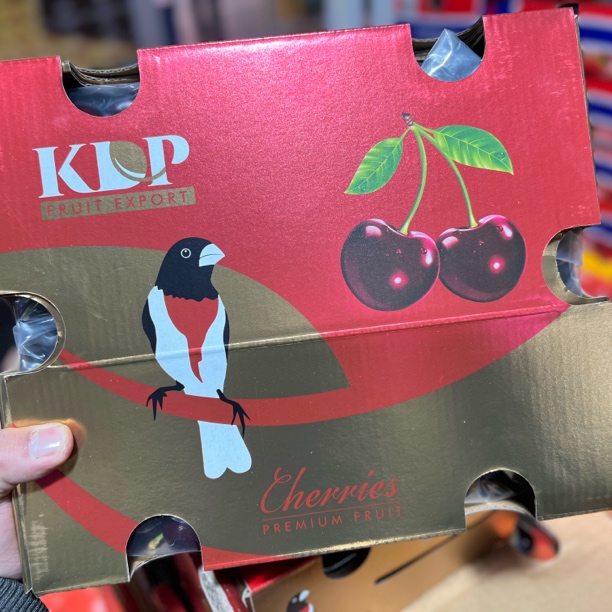 【空运】鸟牌4JJJJ桑提娜车厘子-净重5斤（内附果径卡）桑提娜智利