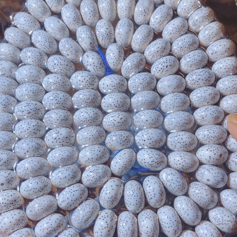 【闪购商品】星月菩提吊坠?*。Ffggghgggggggggggg