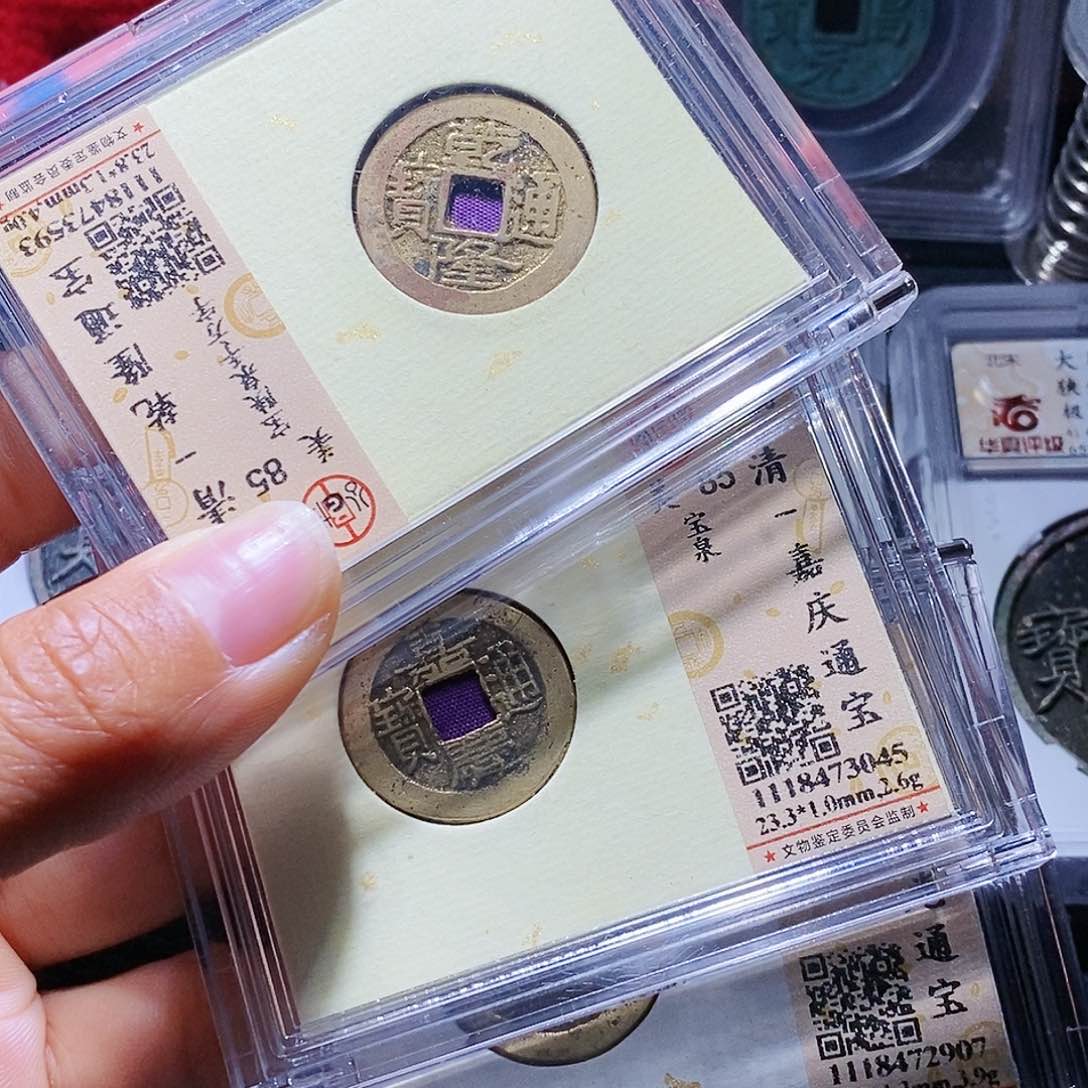 铜37哈哈哈哈哈哈哈哈哈，还啊