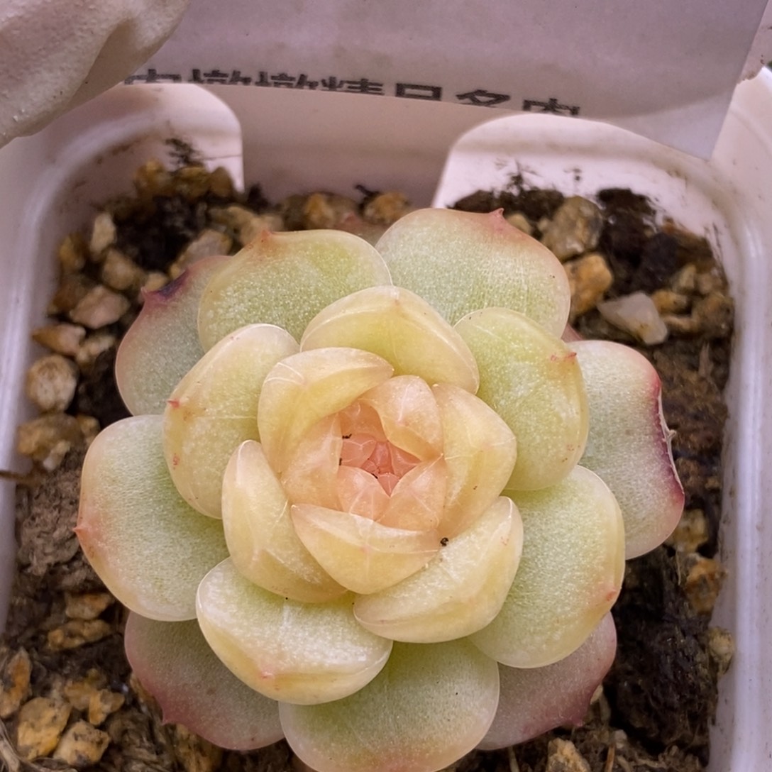 【闪购商品】23-92