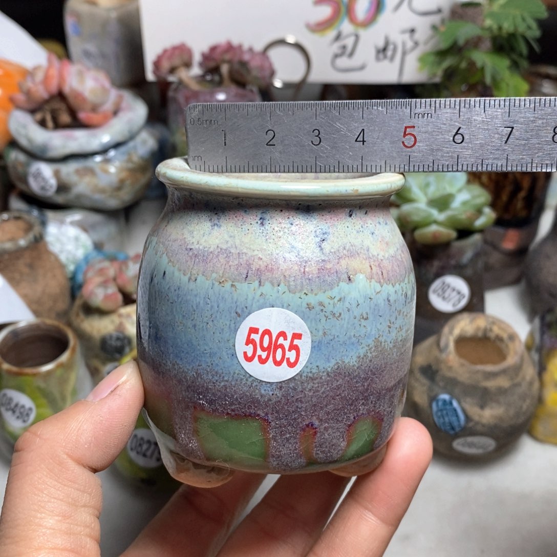 花盆拍3送一个小礼物