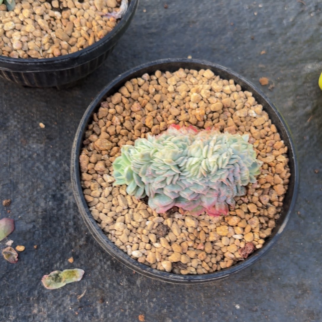 k***i哈哈哈宝贝宝贝宝贝吧