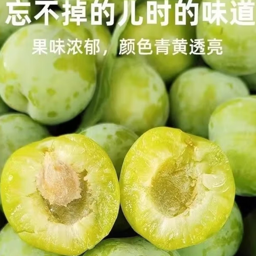 云南脱骨青脆李当季新鲜产地现摘脆甜多汁核小肉厚水果