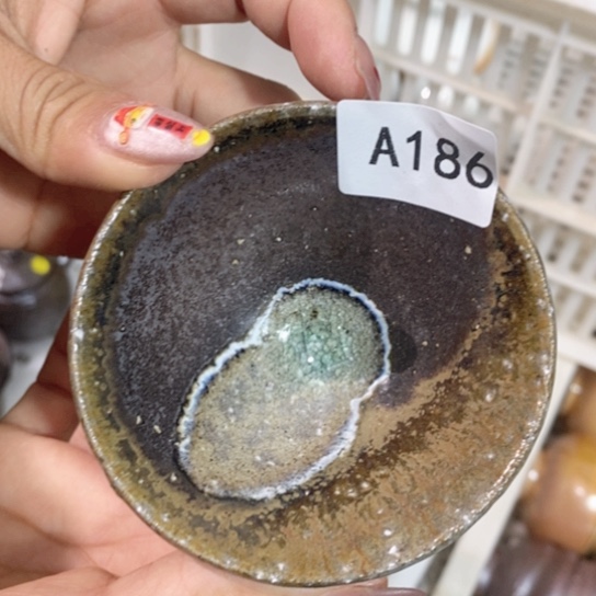 福利福利活动来啦