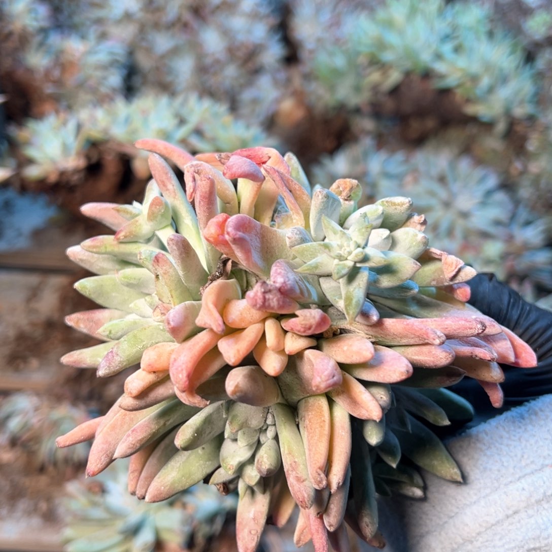 7860哈哈哈哈哈哈哈哈