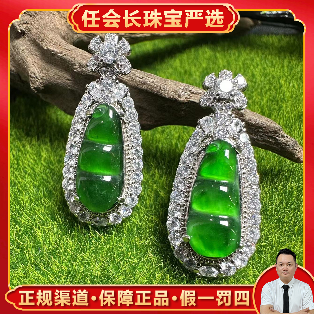 AT5091【任会长珠宝】A货翡翠豆子吊坠-配麻花链-多样性只发一件