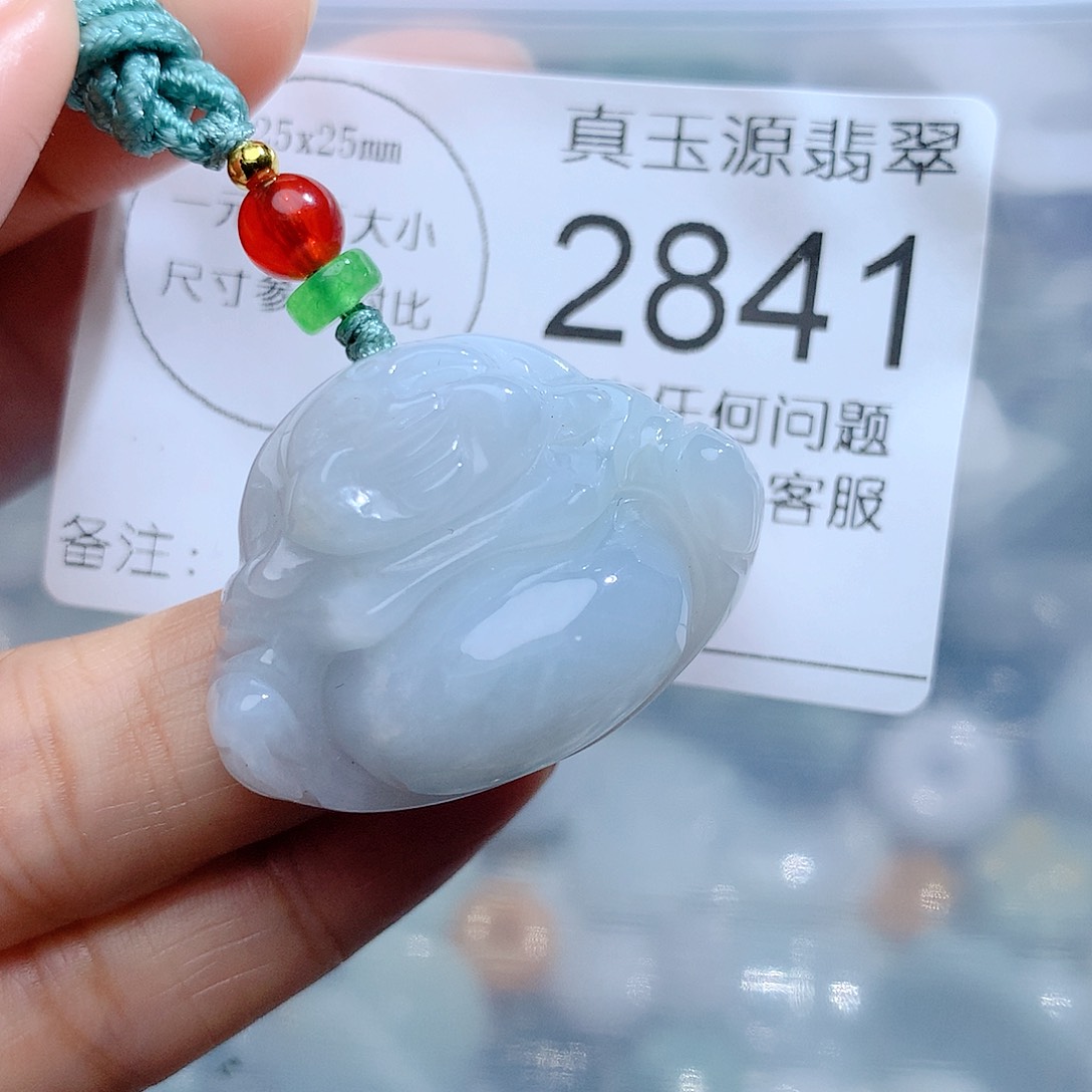 翡翠颈饰未镶嵌2841。
