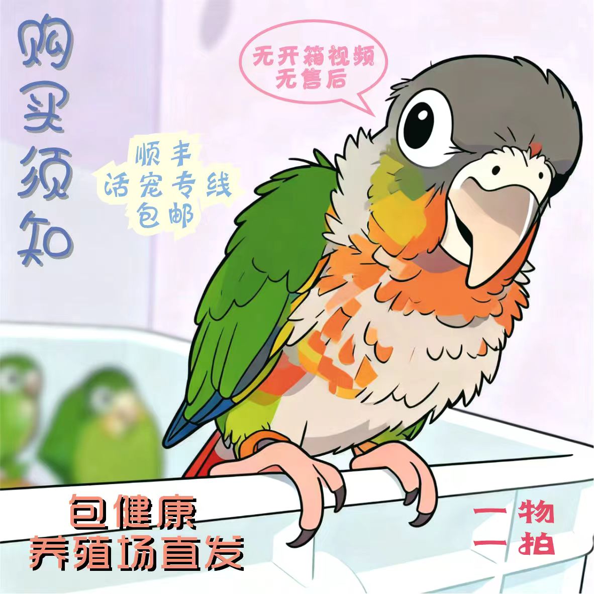 瑕疵小半毛【一物一拍】