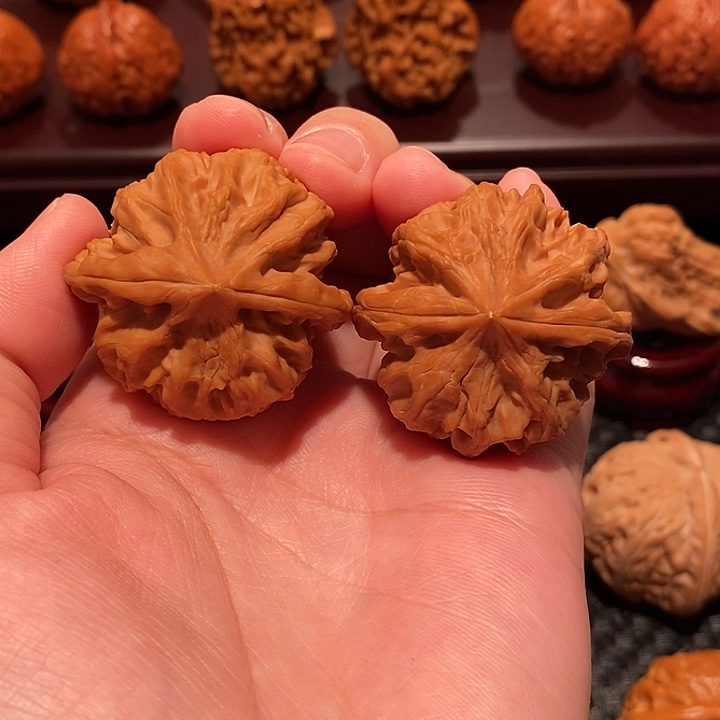 小***一把件文玩核桃大龙