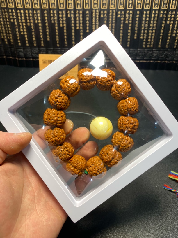 超头老树满肉梅花：5号