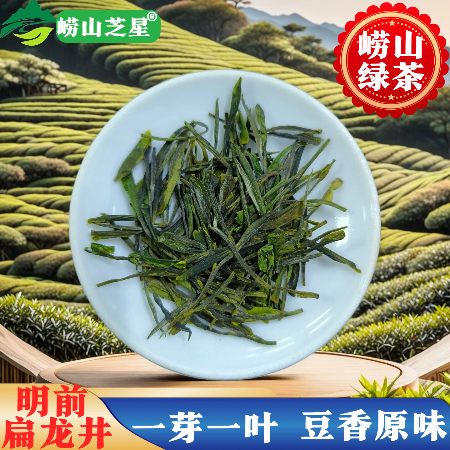 明前头采扁龙井崂山绿茶青岛特产A003