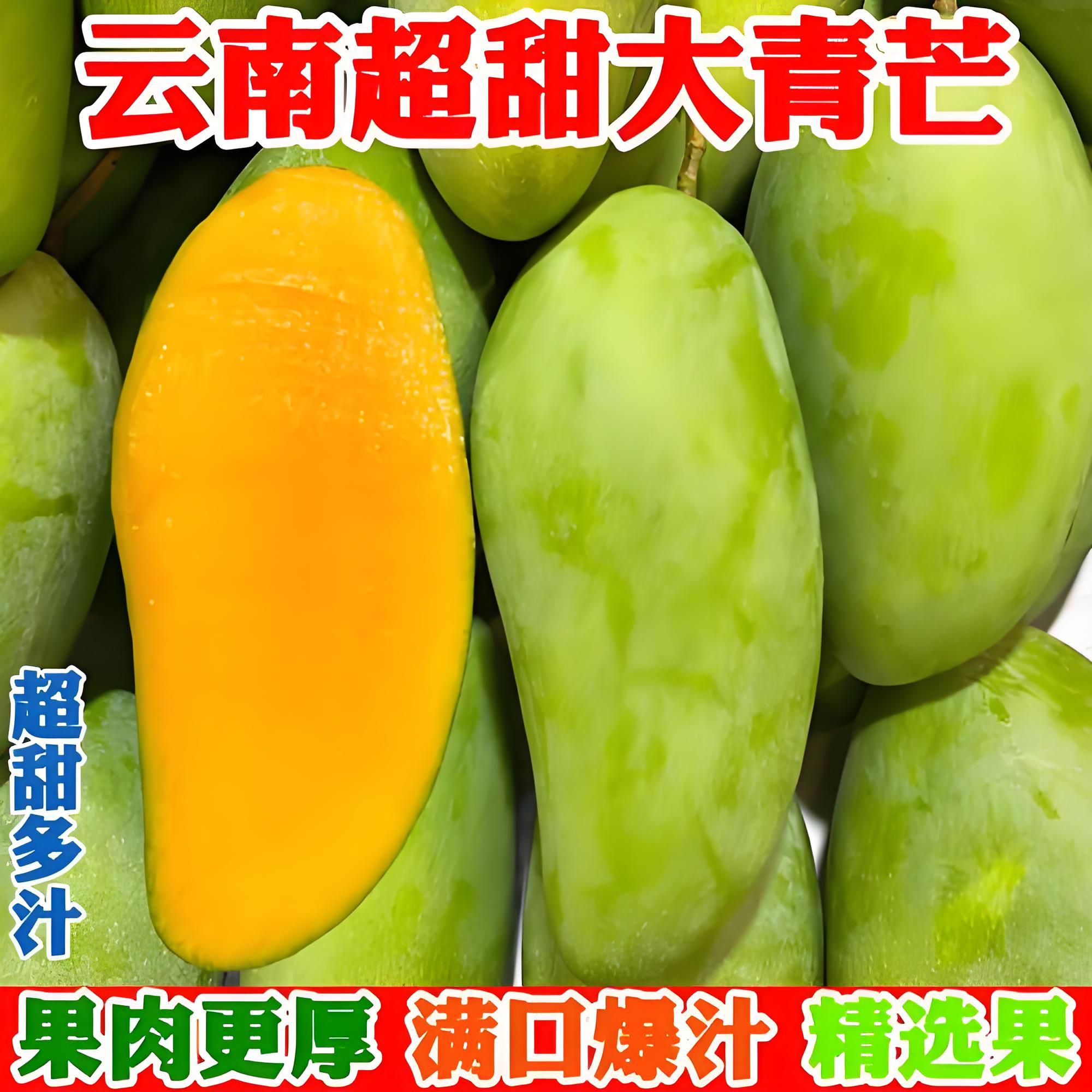 （坏果包赔）现摘现发云南大青芒果新鲜采摘水果当季青皮薄皮8-12个