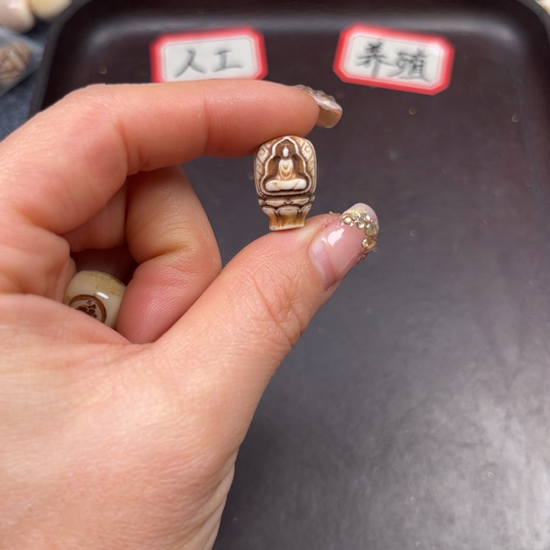 驼骨手串/手链编号74尺寸1.1