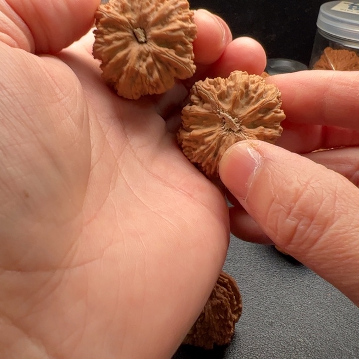 把件文玩核桃安***心35塔尖带黄