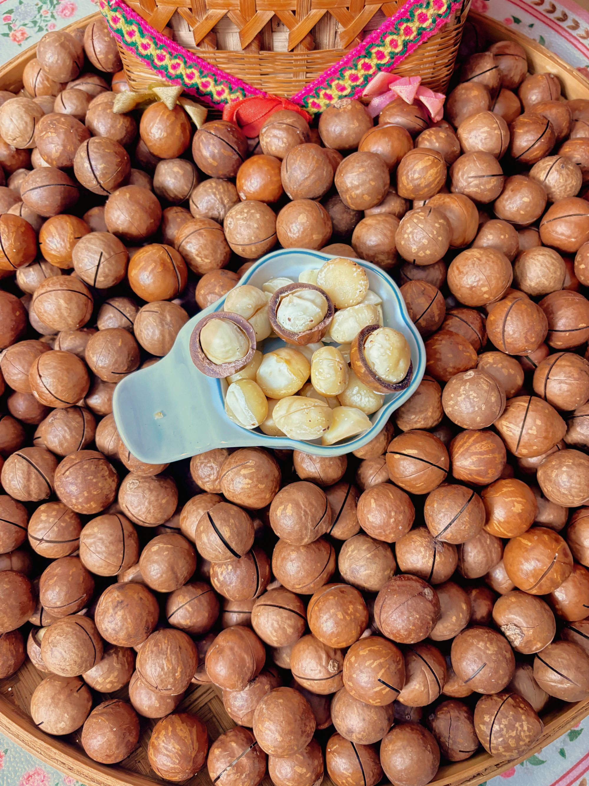 【原味-直径24-26mm】果农直销  2025年 新鲜 夏威夷果500g/袋