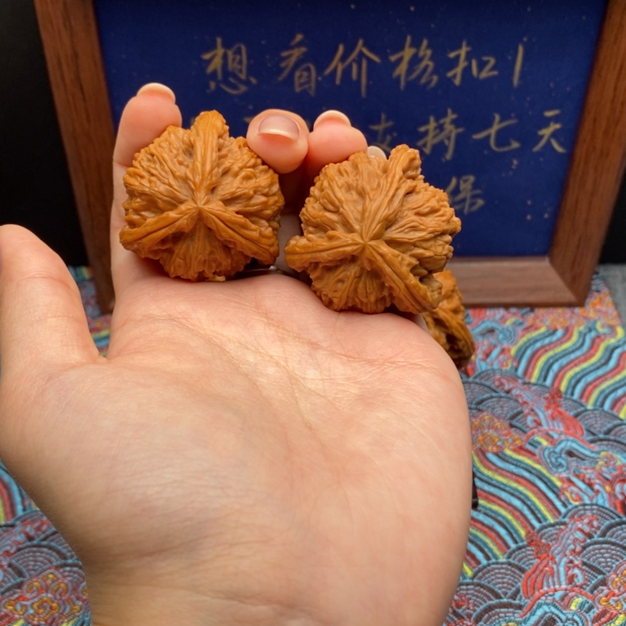 【闪购商品】鑫****）白狮