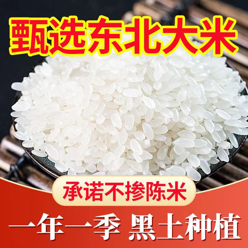 东北圆粒米珍珠米春种秋收软糯香甜可蒸可煮可炒