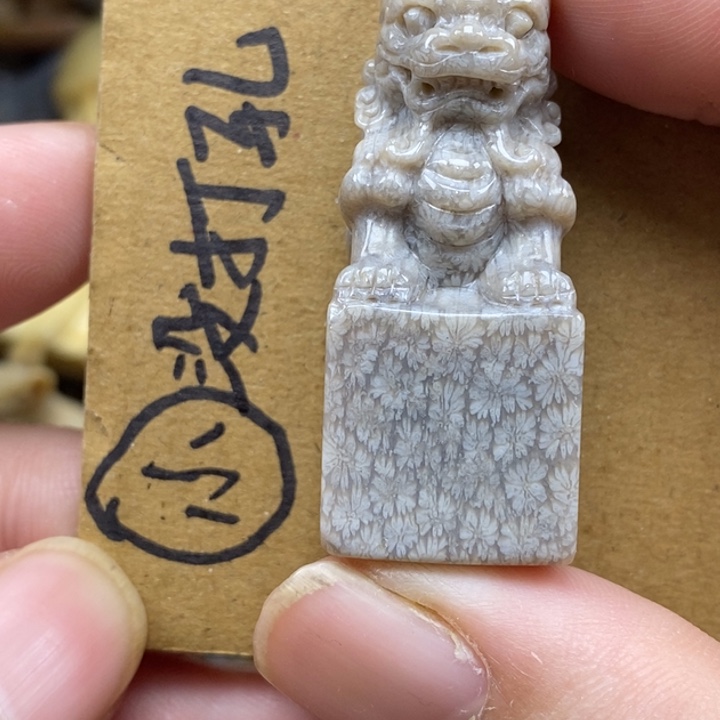 硅化珊瑚（珊瑚玉）未镶嵌颈饰