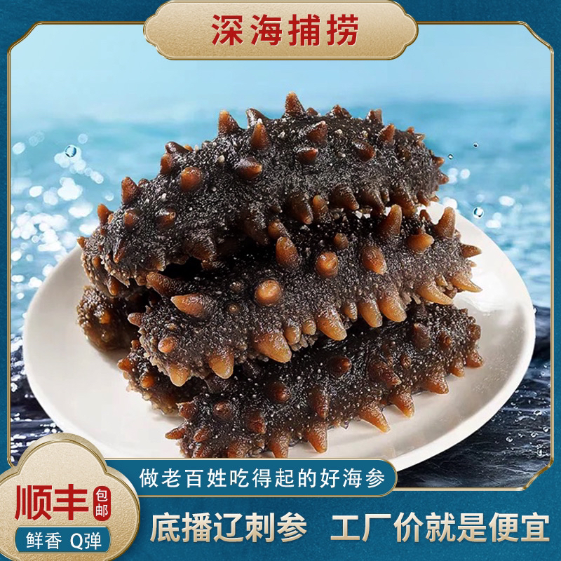 大连鲜食海参辽刺参Q弹口感高营养 冷冻