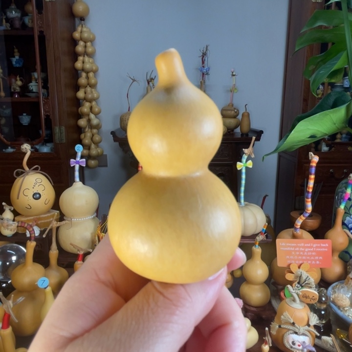 厚皮双圆葫芦葫芦