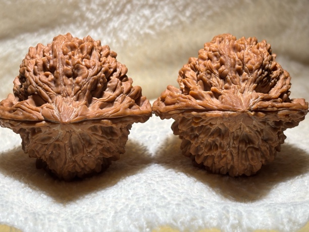 43全品高庄三角满天星