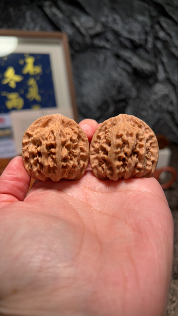 文玩核桃 怀柔天地4961号39.5 尺寸