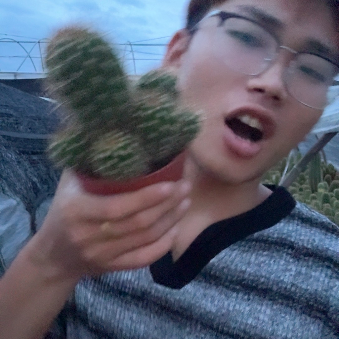 (***)无花朵ts100哈哈哈哈哈哈哈