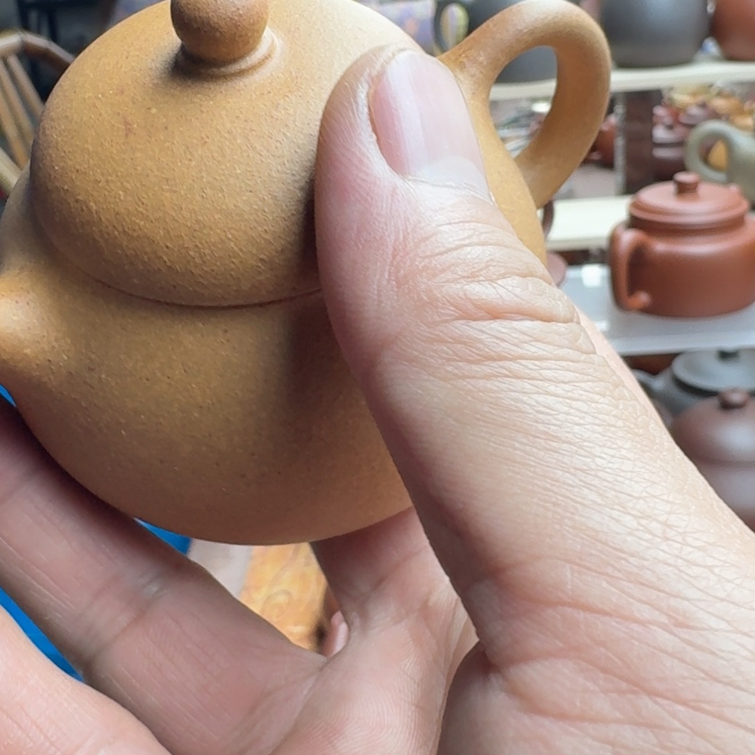 鱼***茶壶紫砂哈哈哈哈哈哈哈哈哈