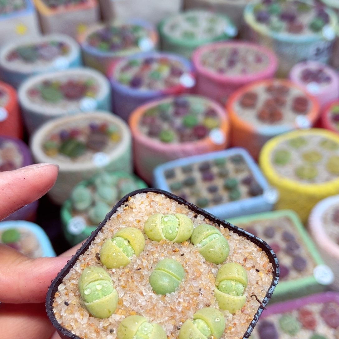 161。888888888888888