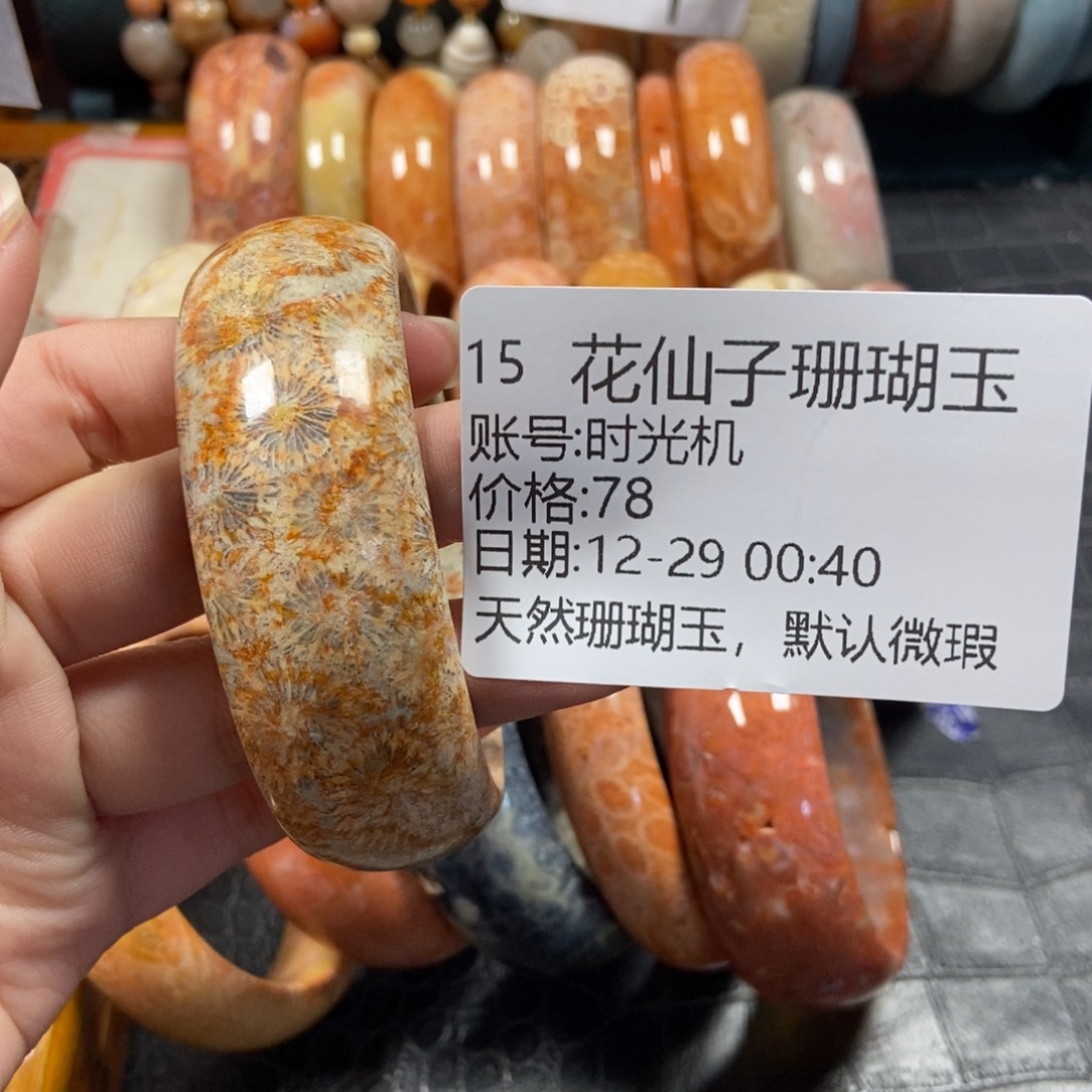 时***机硅化珊瑚（珊瑚玉）未镶嵌珠宝半成品15