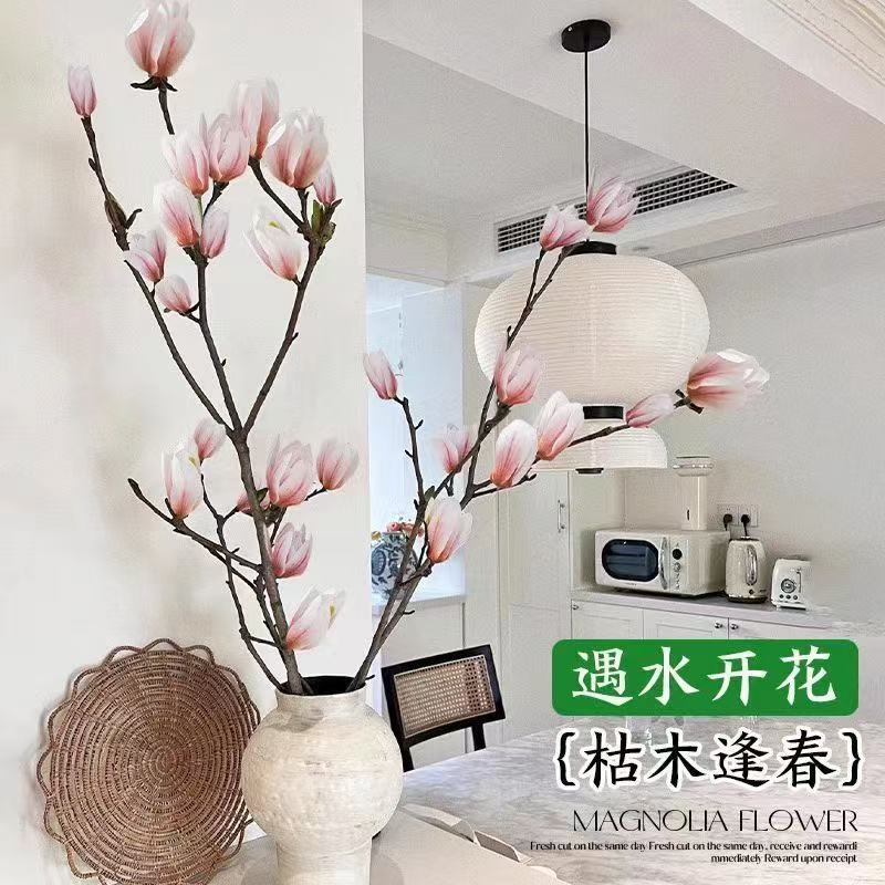 玉兰花鲜切枝水培植物带花苞红梅干枝水养鲜花卉室内好养耐寒盆栽