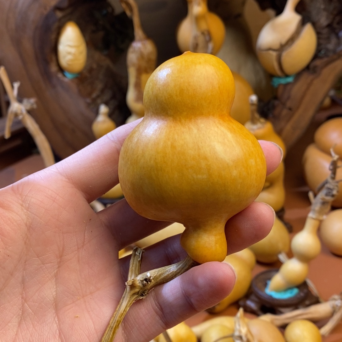 一***酒教练教练教练教练经理