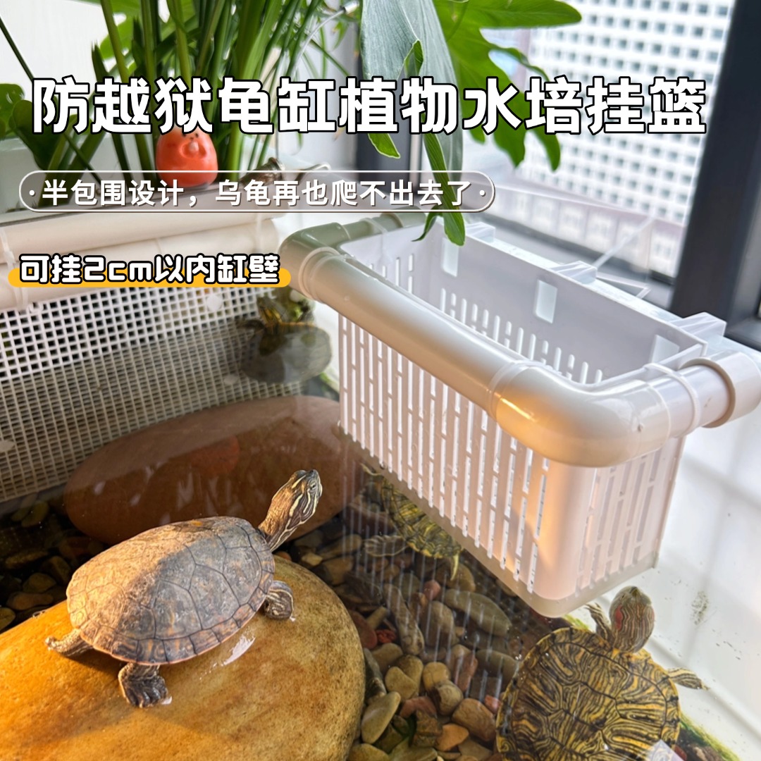 龟缸水培植物挂篮生态缸植物壁挂篮乌龟防越狱种植篮定植篮