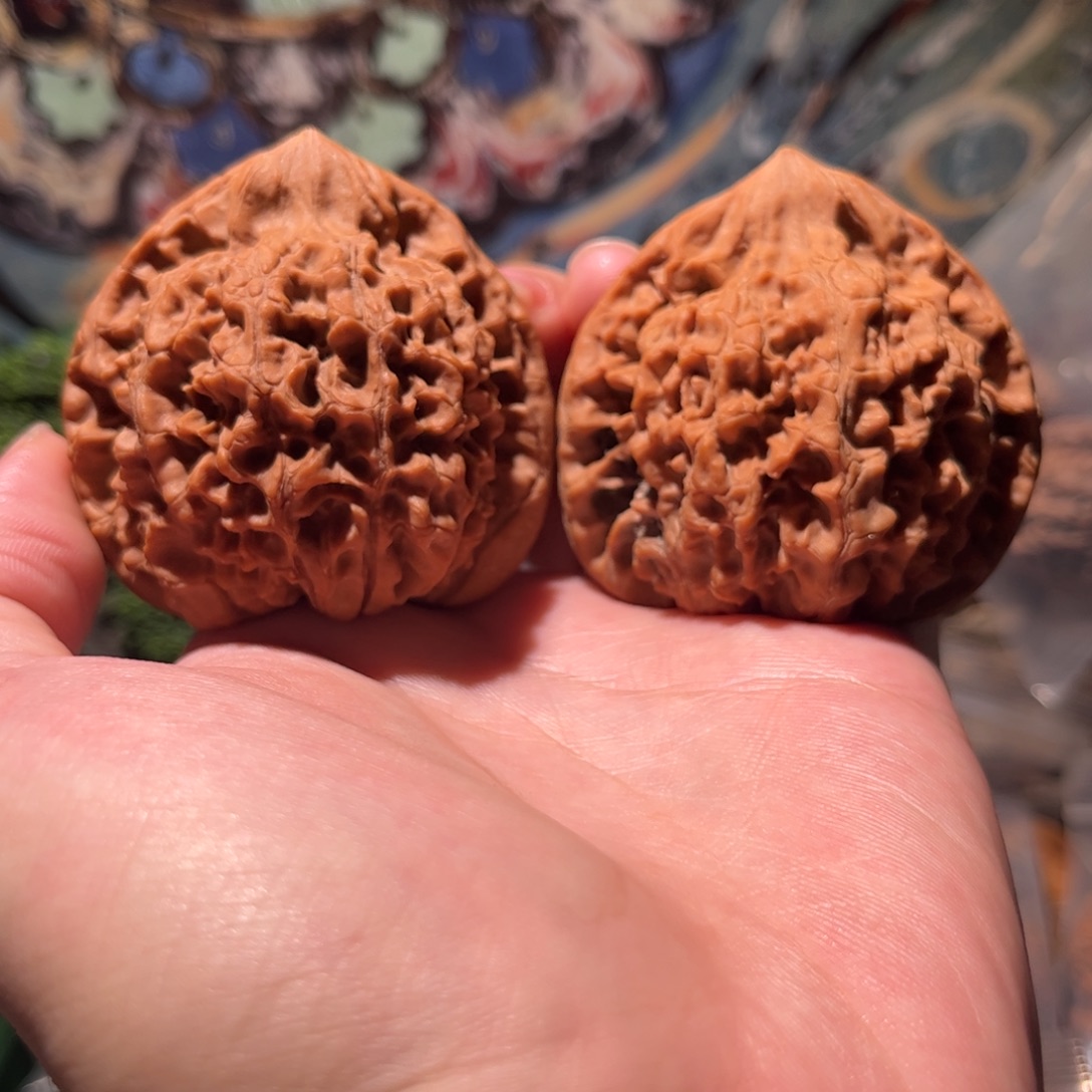 L***y木质54尺官帽麒麟纹红皮