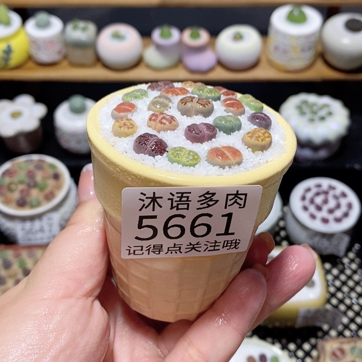 带盆土植物 一物一拍5661