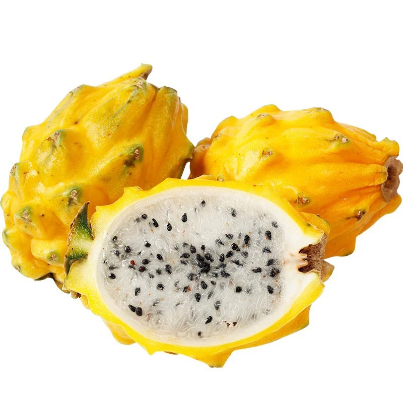 《小军严选》燕窝果 海南麒麟新鲜现摘 8粒装小果包邮g