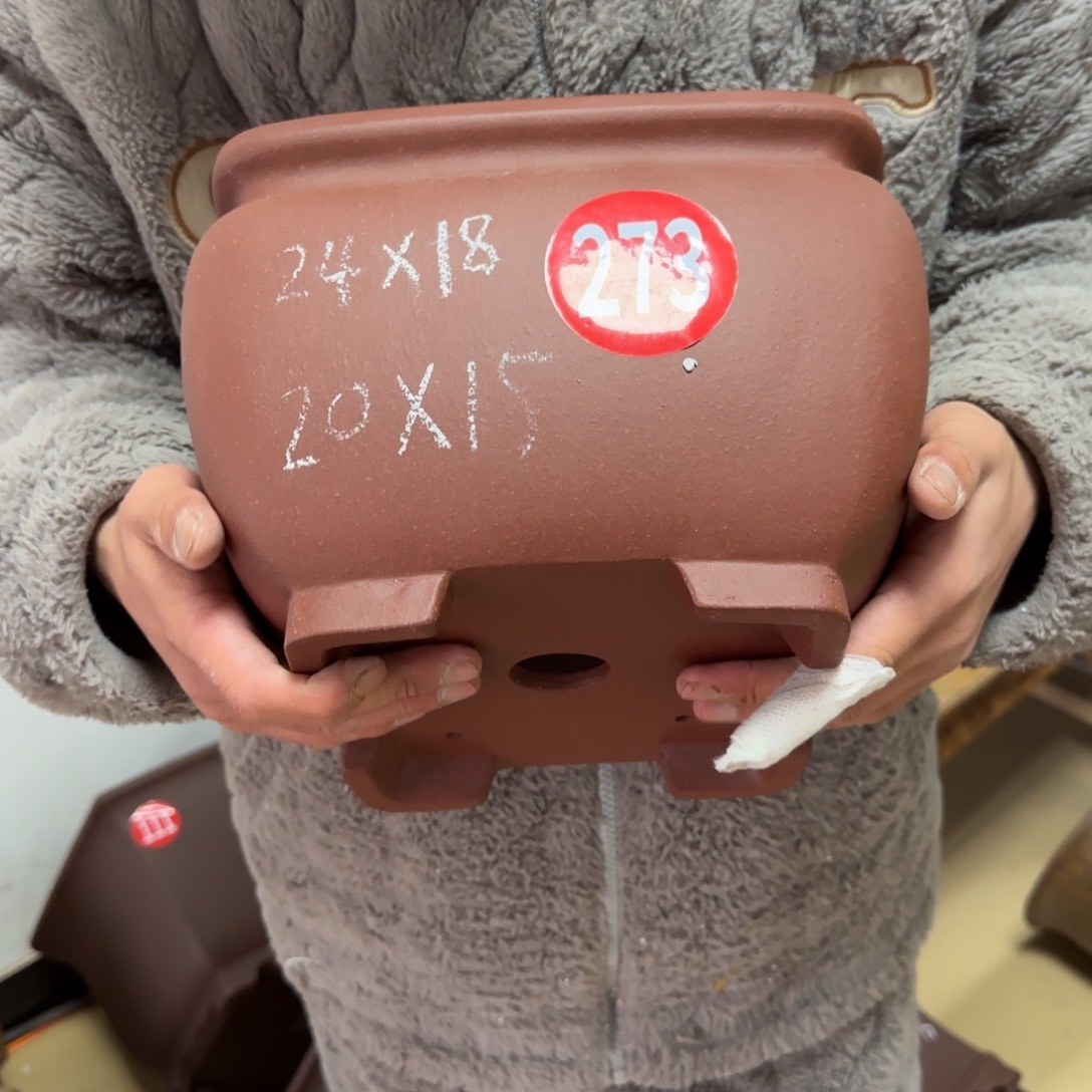 紫砂花盆呜呜呜呜