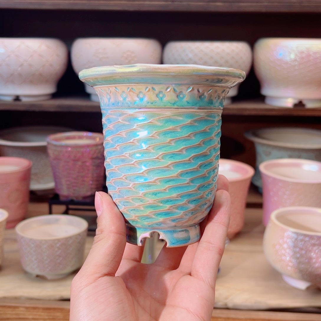 瓷片dy0305-008L玉兰