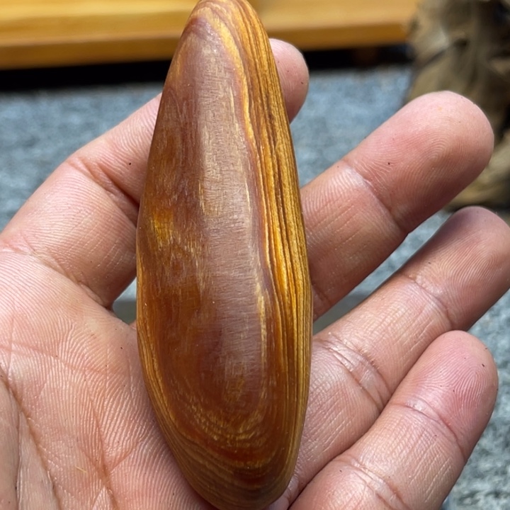 柏木（崖柏）崖柏62