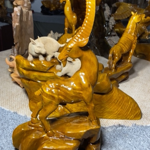 疯***据金丝楠羊羊得意的