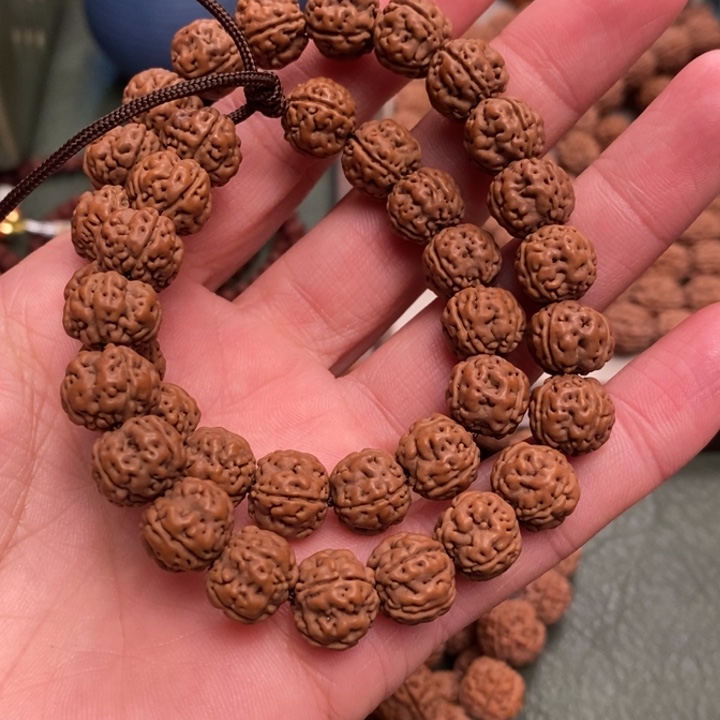 菩提云***书老树王小金刚