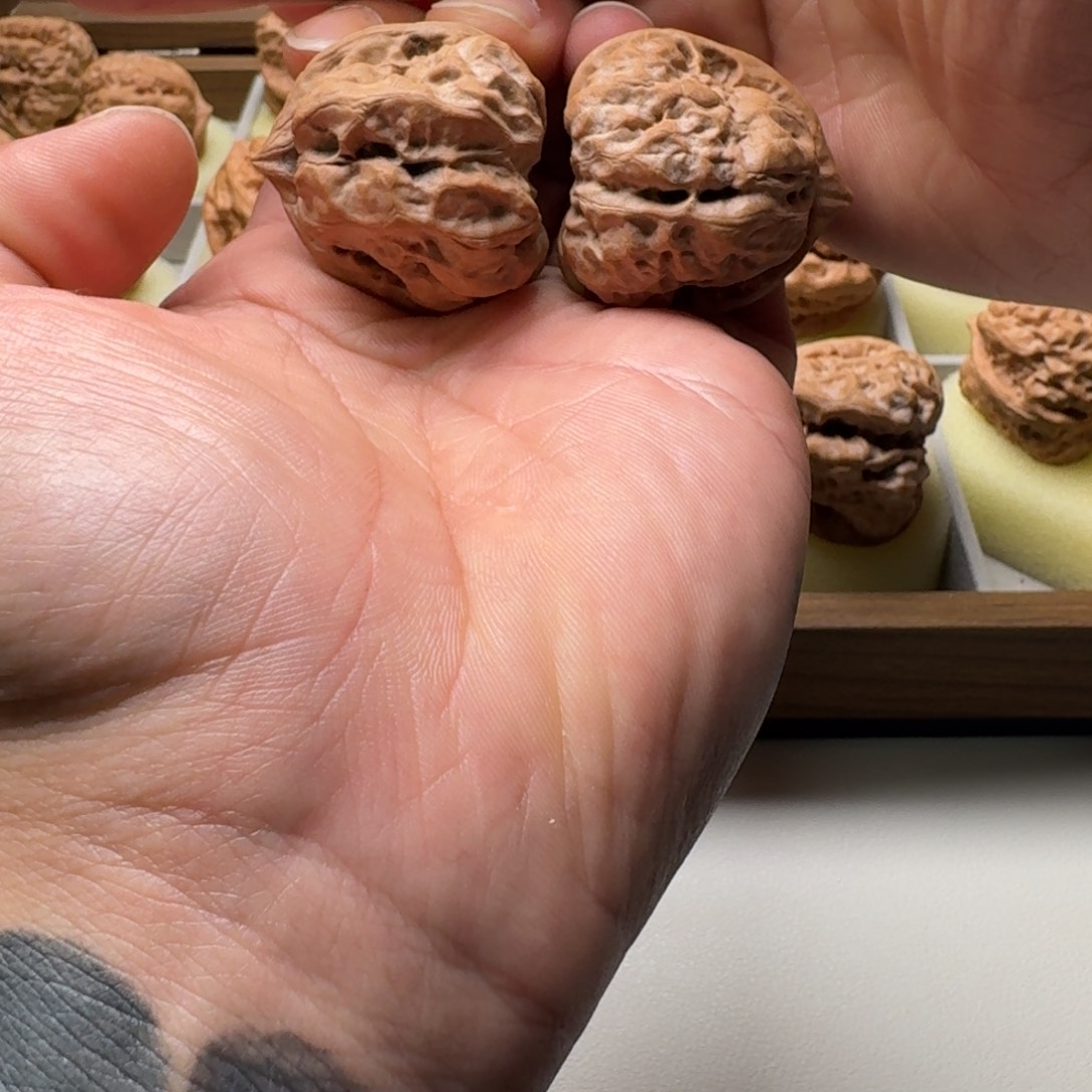 文玩核桃吊坠延庆蛤蟆头