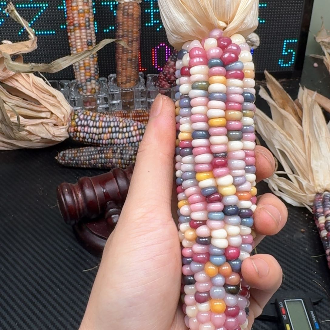 柏香籽/百香籽吊坠@*风