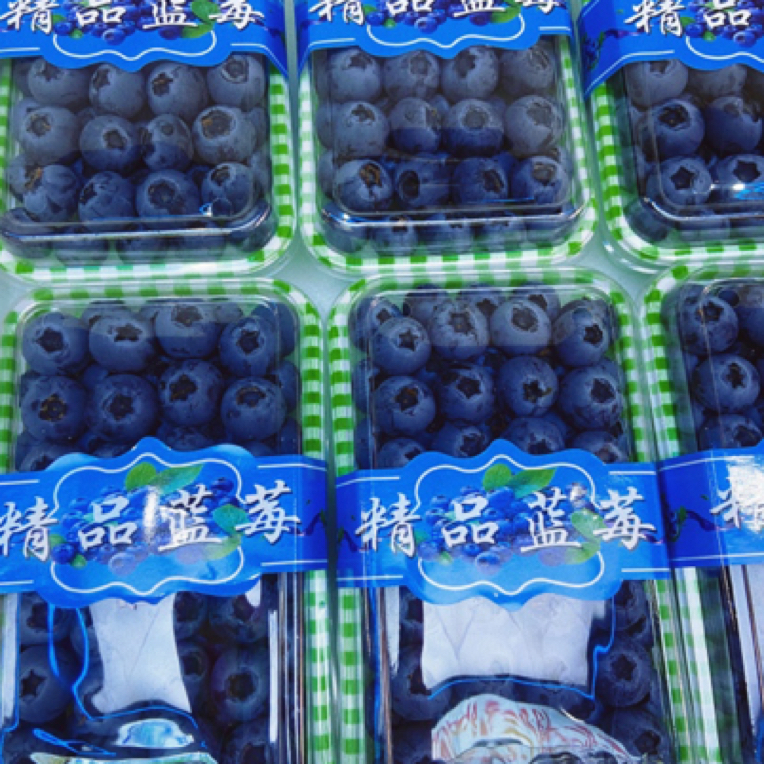 精品大果蓝莓半斤装20mm云南蓝莓云南省大理白族自治州