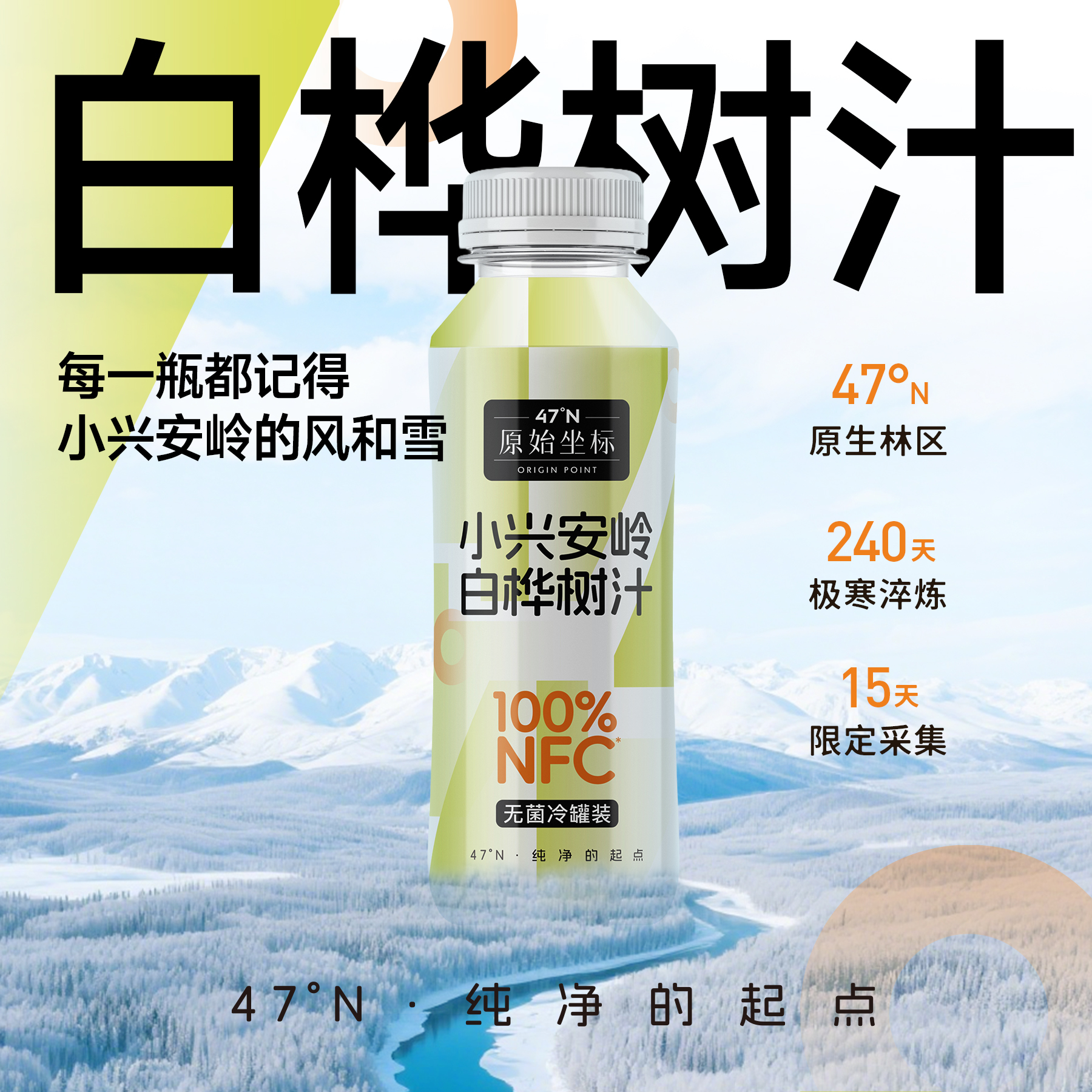【到手三箱 试喝一瓶】天然NFC100%原液小兴安岭白桦树汁280ml*36瓶