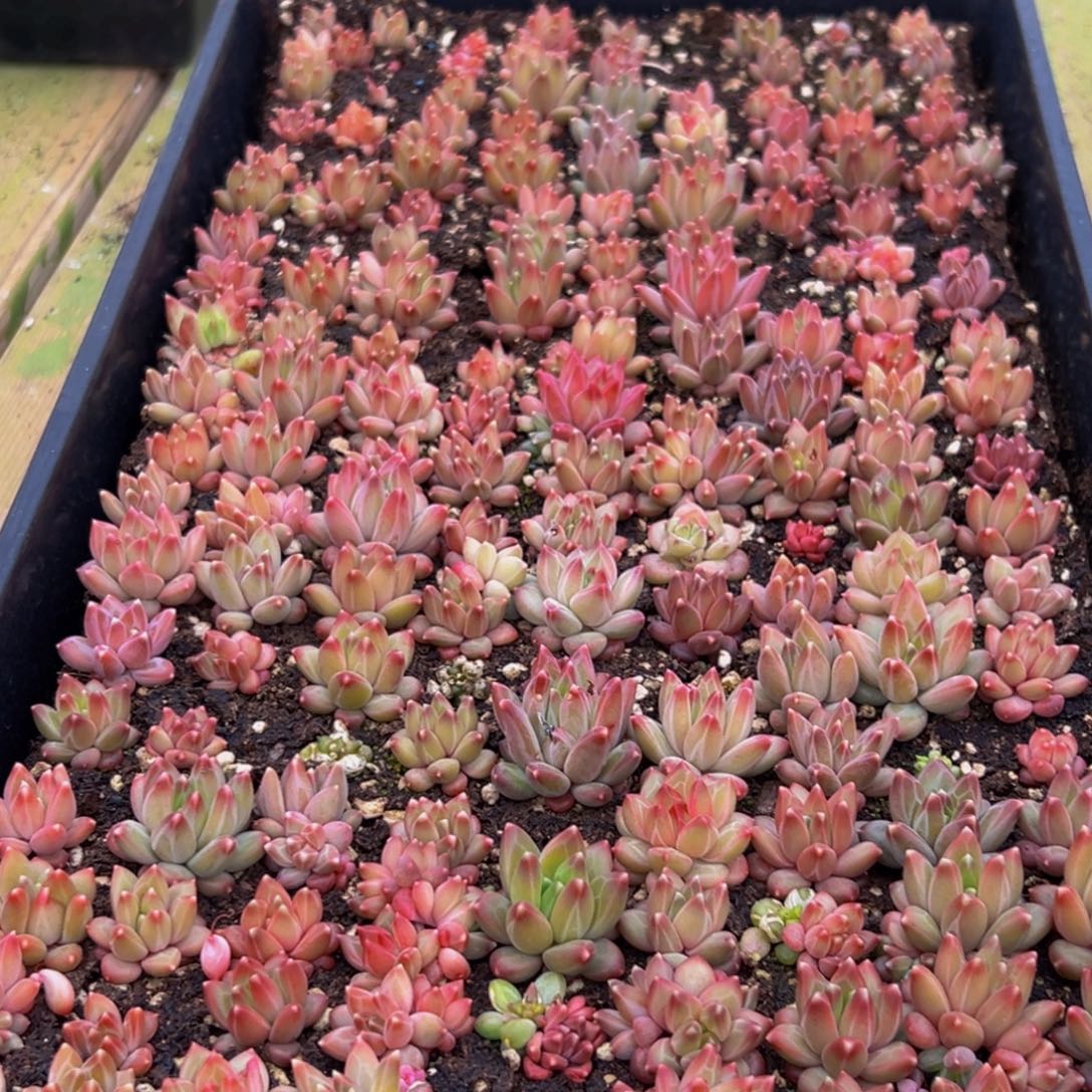 027的最后一天了啊我的天